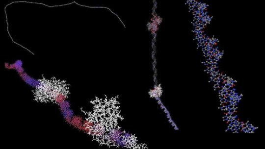Different views of a DNA molecule ©3DMaps/IRB Barcelona/BSC-CNS