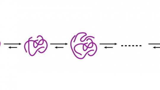 Esquema simplificado de las estructuras que adoptan diversos agregados de beta amiloide, desde que se enganchan dos unidades hasta la formación de fibras de Abeta (Imagen: N. Carulla, IRB Barcelona)
