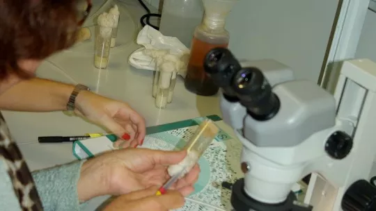 Imagen del último programa "Al vuelo" (2012)