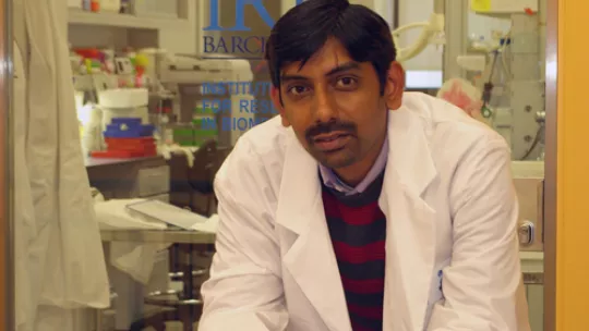 The Indian scientist Jalaj Gupta has worked for six years on p38 in colorectal cancer, and this research formed part of his doctoral thesis (Image by IRB)