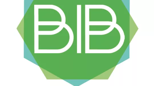 Logo Bioinformatics Barcelona (BIB)