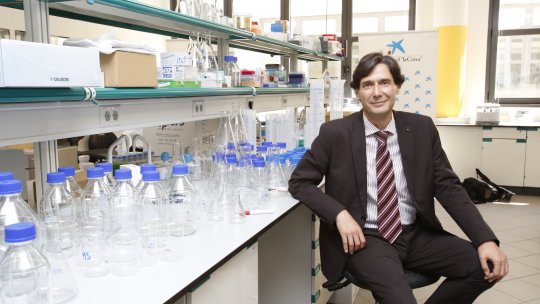 Manuel Serrano, group leader of the Cellular Plasticity and Disease laboratory at IRB Barcelona (Fundació "la Caixa")
