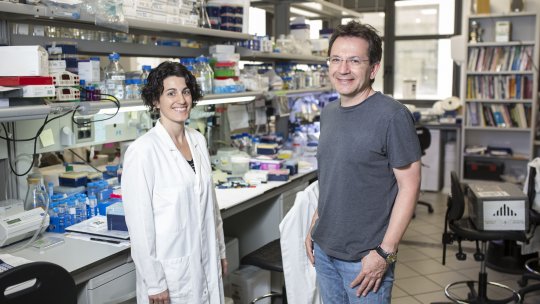 Raúl Méndez and Eulàlia Belloc from the Translational Control of Cell Cycle and Differentiation Lab at IRB Barcelona