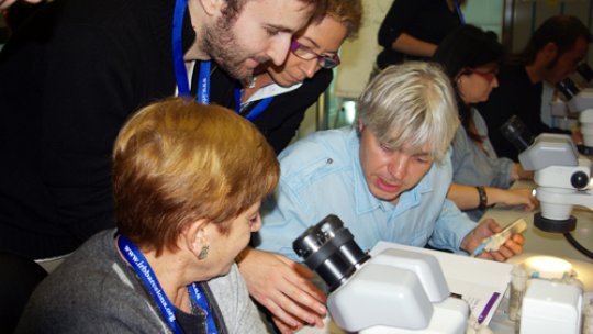 Images from a previous edition of the "Teachers & Science" courses