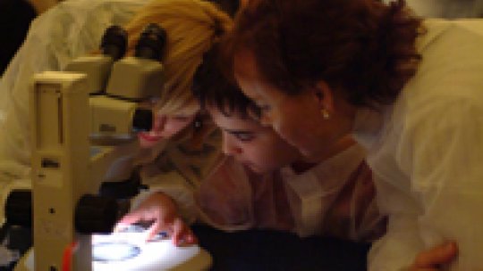 Ana Janic ayuda a los participantes del taller a distinguir entre moscas normales y mutantes en el microscopio. (Pepe Encinas, copyright Fundació