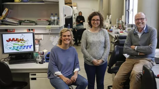 Image: Julio Carbó.