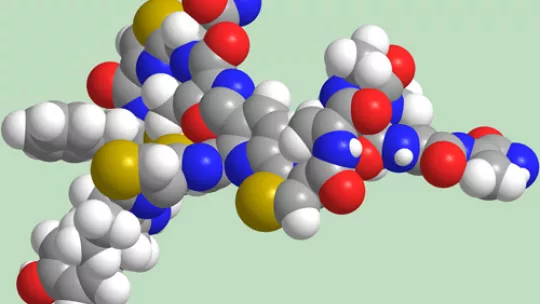 3D baringolin structure reproduction