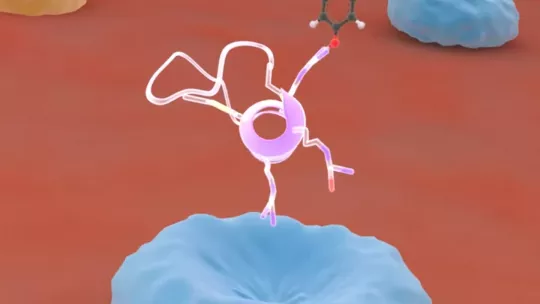 Los péptidos lanzadera son moléculas que tienen la capacidad de transportar fármacos a través de la barrera hematoencefálica y por lo tanto tratar enfermedades que afectan al sistema nervioso central