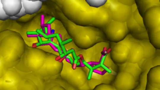 El análogo de la borrelidina BC196 muestra alta actividad contra el Plasmodium (IRB Barcelona)