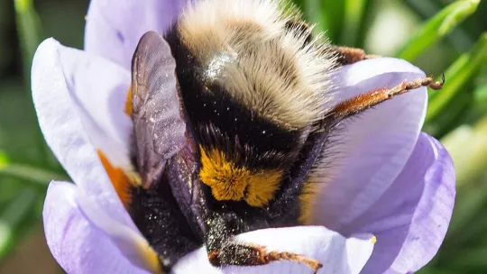 Imagen: PATRICK SEEGER/AFP/Getty Images.