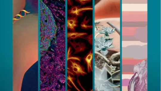 Cover of the Cancer Cell Best of 2012