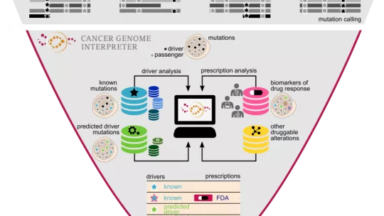 Cancer Geneme Interpreter (CGI). Image: Núria López-Bigas