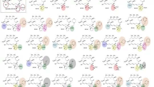 Análogos de la borrelidina para tratar la malaria (IRB Barcelona)