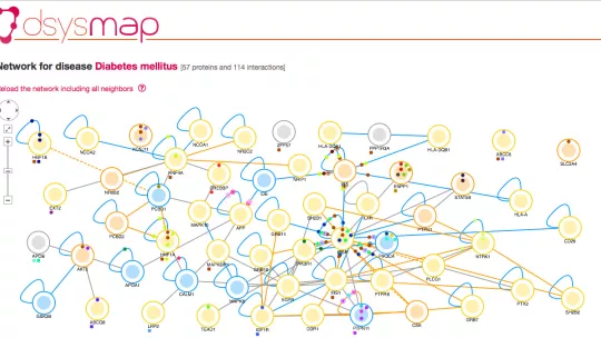 Mapa de interacciones de proteínas de la diabetes de tipo 2 (fuente: dSysMap, IRB Barcelona)