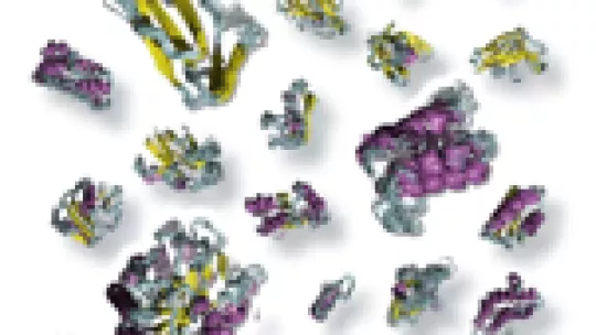 El movimiento de las proteínas res básico para entender su función