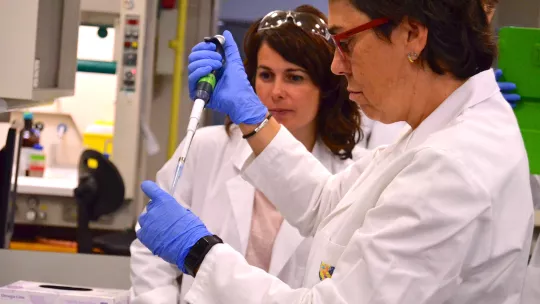 Teachers and scientists working together.