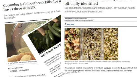 Escherichia coli  caused an outbreak of food poisoning in Germany last May.