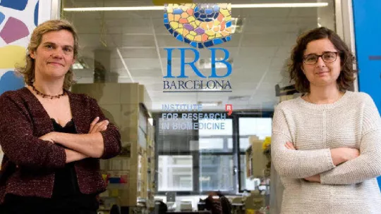  Meritxell Teixidó and Macarena Sánchez at IRB Barcelona. Image: Santi Cogolludo. 