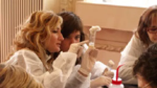 Experimental workshops for the public, Do Research! (PCB)