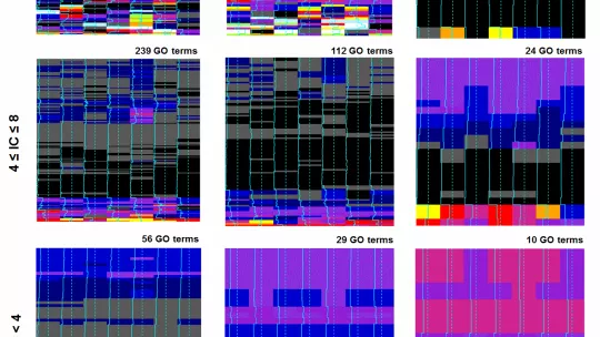 La diversidad es clave: metagenomas de entornos diversos pueden predecir diferentes tipos de funciones genéticas (Gráfico, F Supek, IRB Barcelona)