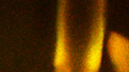 La cerra és un òrgan mecano sensorial que alberga el cili projectat per una neurona. Dues estructures, els centríols, una a la base del cili, i l’altre a la zona de transició, marcades en verd i vermell, respectivament (Gonzalez Lab)