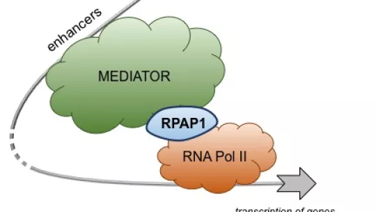 Laboratorio Manuel Serrano 