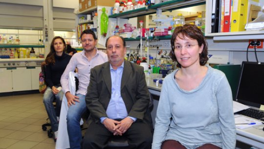 Daniela Rossi, LLuís Pujadas, Eduardo Soriano and IRB researcher Natàlia Carulla in spotlight (Photo:UB)