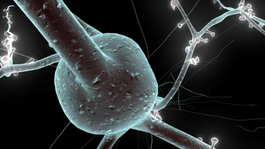 Simulation of a single neuron ©EPFL/Blue Brain Project