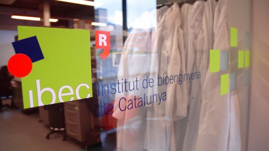  Instituto de Bioingeniería de Cataluña (IBEC). Imagen: IBEC. 