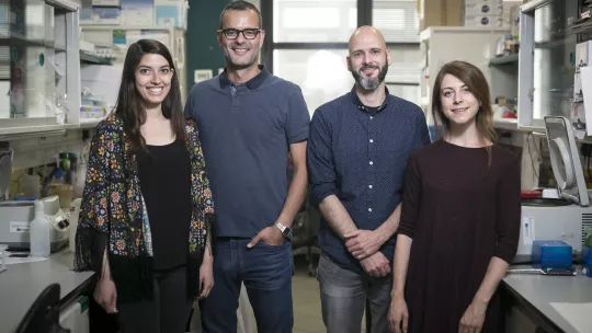 Valentina Maria Zinna, Salvador Aznar Benitah, Patrick Welz y Inés Marín Guillén, del IRB Barcelona.