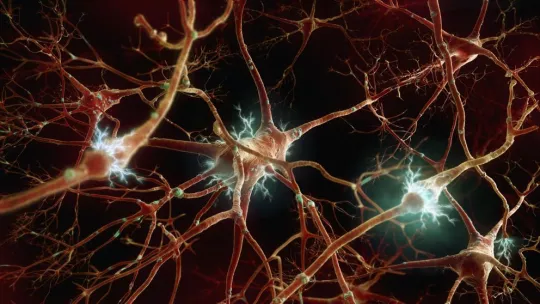 Image: La Vanguardia