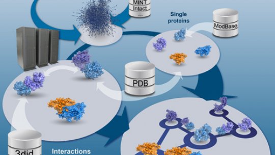 Interactome3D is an automated pipeline for the structural annotation of protein networks. It provides pre-computed data for eight model organisms and are able to build ad-hoc homology models for a significant fraction of newly discovered interactions.