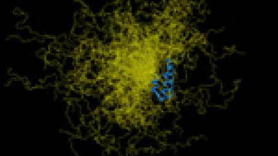 Representation of an IDP with a structured region (blue) and a non-structured one(yellow).