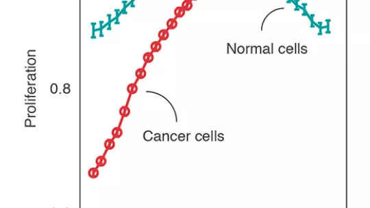 Image: IRB Barcelona