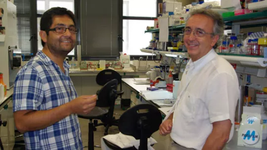 Researchers Juan Pablo Muñoz and Antonio Zorzano (IRB)