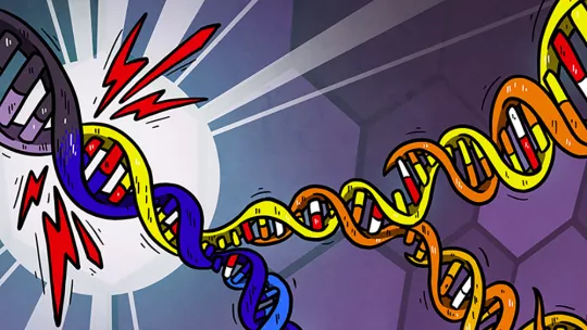 DNA lesions. Credit: Petra Korlevic