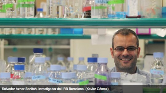 Salvador Aznar Benitah, Group Leader of Stem Cells and Cancer at IRB Barcelona.