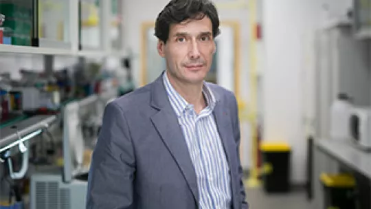 Manuel Serrano, líder del laboratorio de Plasticidad Celular y Enfermedad
