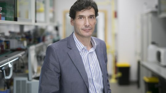 Manuel Serrano, group leader of the Cellular Plasticity and Disease laboratory at IRB Barcelona.
