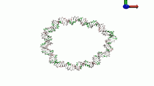 Simulació de mini-plàsmid (ADN circular) (P Dans. IRB Barcelona)