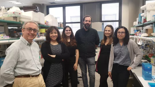 Antonio Zorzano y el equipo del laboratorio de Enfermedades Metabólicas Complejas y Mitocondrias que ha participado en esta investigación. IRB Barcelona.