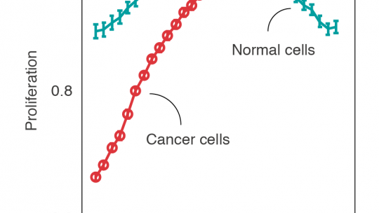 Predicció computacional de la proliferació de cèl·lules canceroses i saludables a diferents pHs intracel·lulars. Les cèl·lules canceroses proliferen bé a pHs bàsics, però a pHs àcids esdevenen vulnerables