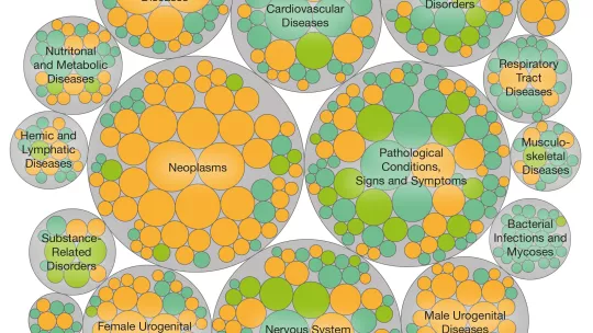 Representación de sustancias químicas relacionadas con enfermedades humanas. Los círculos naranjas son efectos adversos y los círculos verdes, efectos terapéuticos. El tamaño de los círculos es proporcional al número de moléculas que contienen un mismo fr