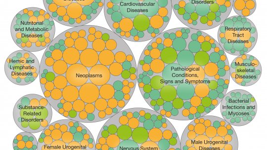 Scheme of the predictive model of chemical substances and their association with human diseases. The orange and green circles show adverse and therapeutic effects respectively. The size of the circles is proportional to the number of molecules that hold t