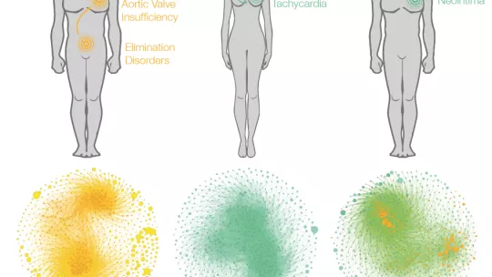 Ejemplos de información obtenida con el estudio: relación entre enfermedades, re-uso de fármacos y efectos terapéuticos y adversos de las sustancias.