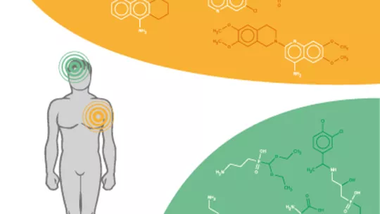 El modelo de los investigadores del IRB Barcelona permite predecir efectos adversos o terapéuticos de las sustancias químicas en la salud.