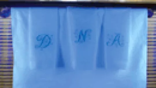 Cover of Nature Genetics