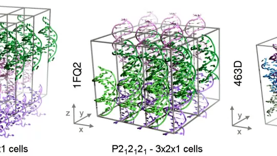 Picture of the three crystal systems examined in this study. These systems contain (from left to right) 27, 24 and 36 double-stranded DNA respectively. Pablo Dans Puiggròs, IRB Barcelona. 