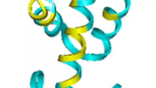 Structure of Hha protein, which together with HN-S, regulates gens acquired by horizontal transfer in bacteria. Image: Miquel Pons (IRB Barcelona)