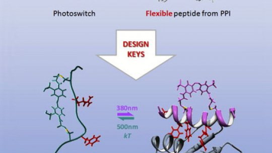 Scheme of photoswitchable inhibition protein-protein interaction (PPI). / Pau Gorostiza et al.
